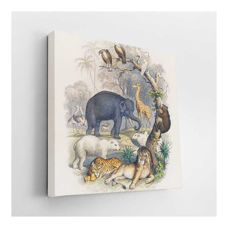 Picasoul - Picasoul Curated - Wildlife Gathering - Wall Decor