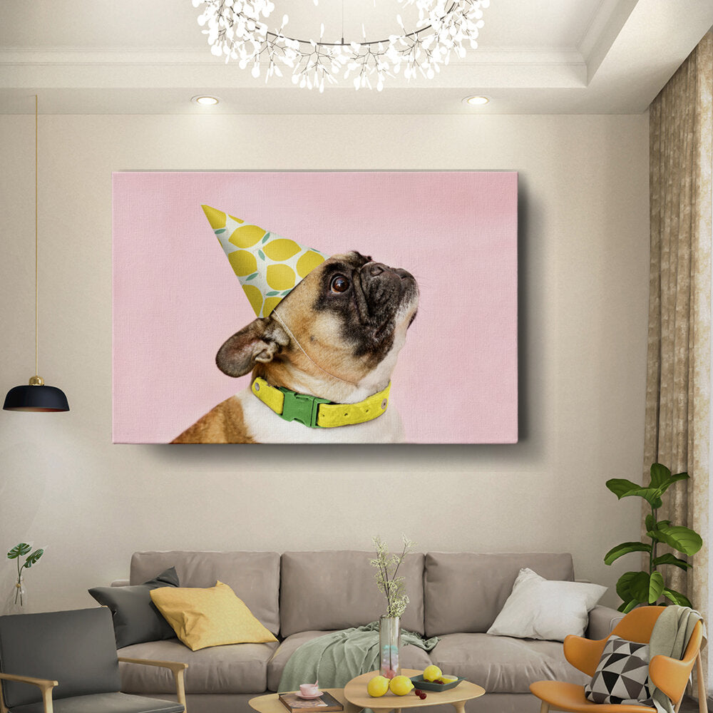 Pug In Party Hat