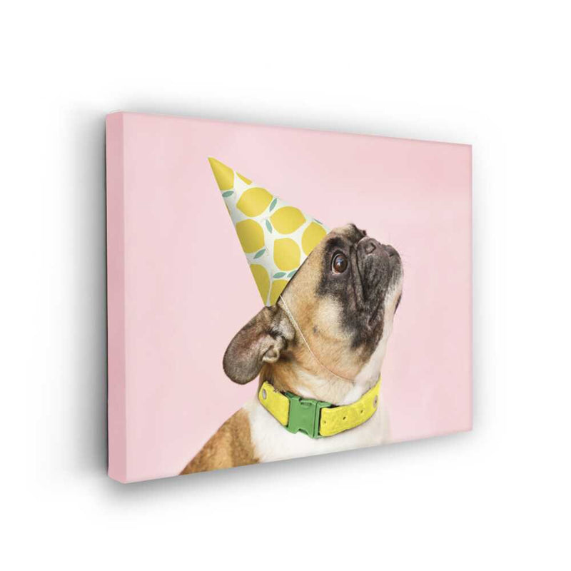 Picasoul - Picasoul Curated - Pug In Party Hat - Wall Decor