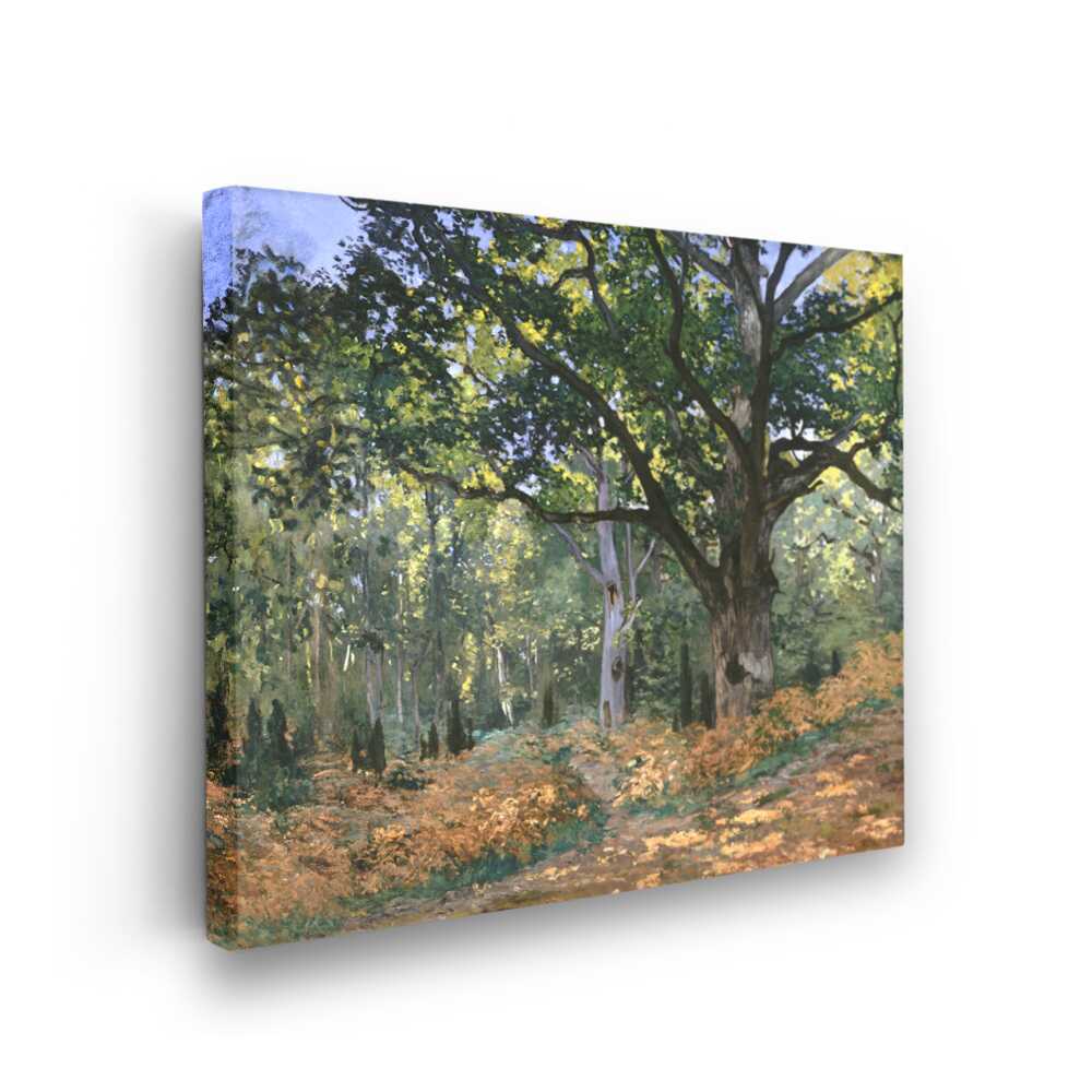 Picasoul - Picasoul Curated - Gentle Forest Path - Wall Decor