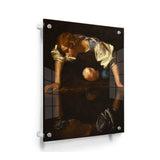 Narcissus - Acrylic Wall Photo