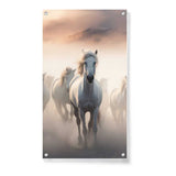 Artist5 - Art - Desi Breed Horses - Acrylic Wall Photo