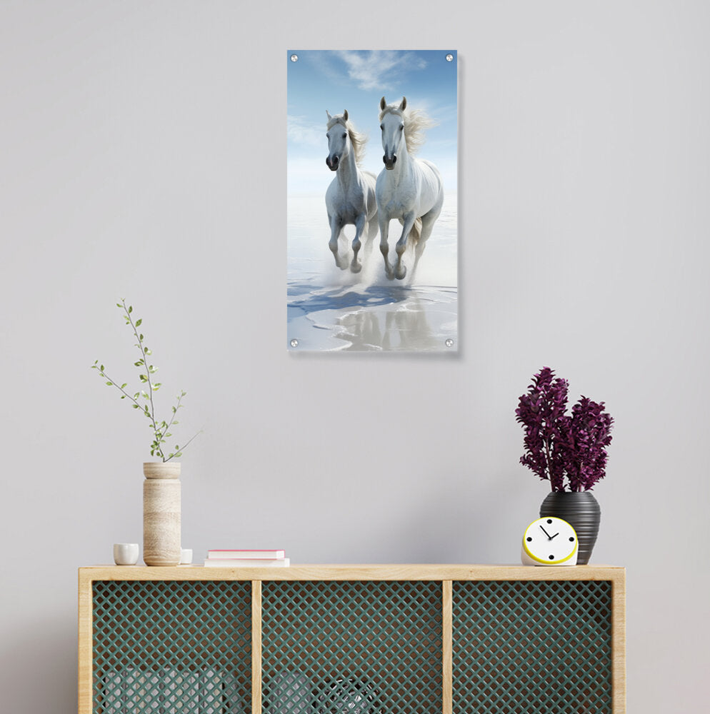 Two White Horses Galloping - Acrylic Wall Photo