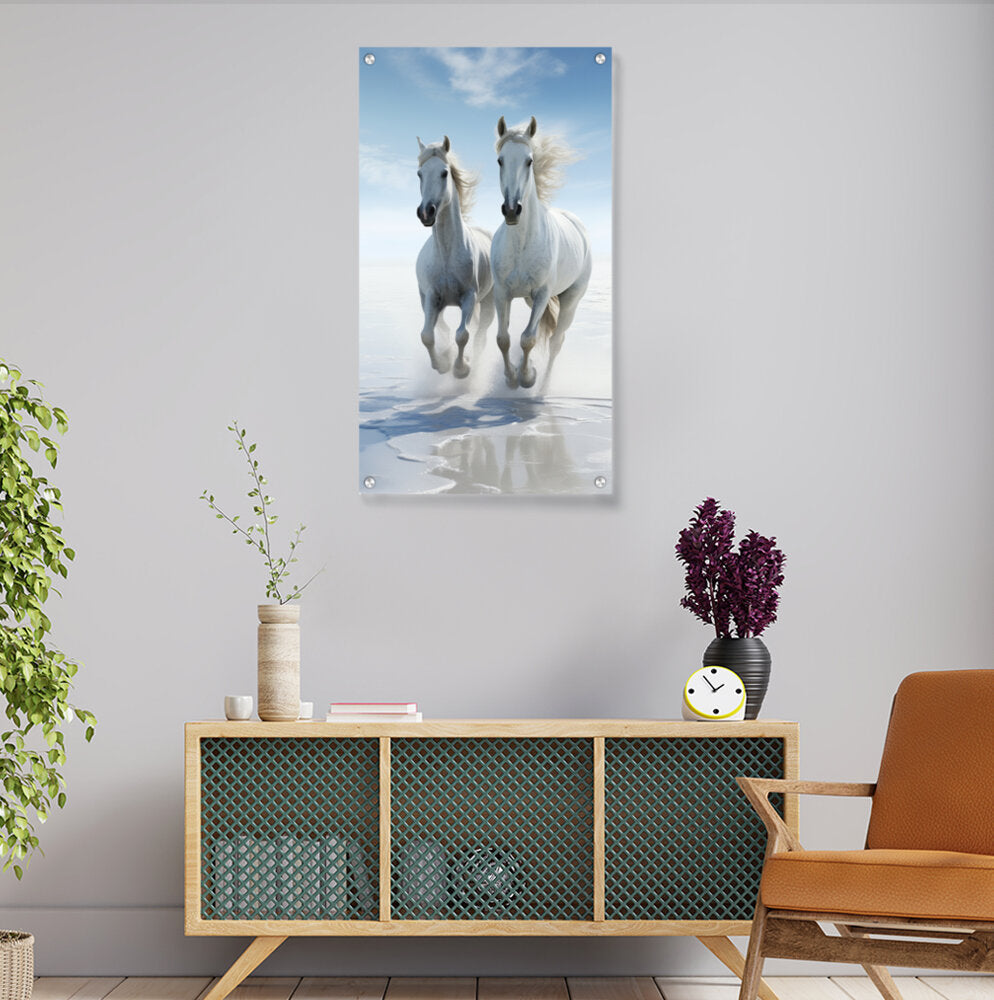 Two White Horses Galloping - Acrylic Wall Photo