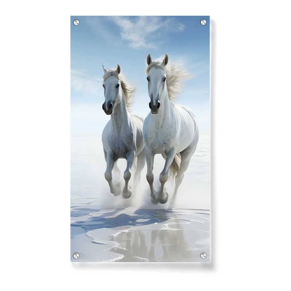 Artist5 - Art - Two White Horses Galloping - Acrylic Wall Photo