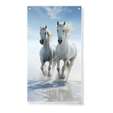 Artist5 - Art - Two White Horses Galloping - Acrylic Wall Photo