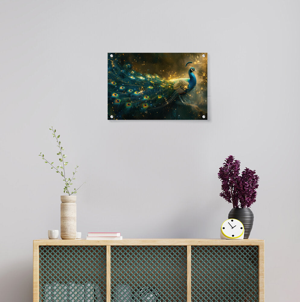 Attractive Peacock - Acrylic Wall Photo