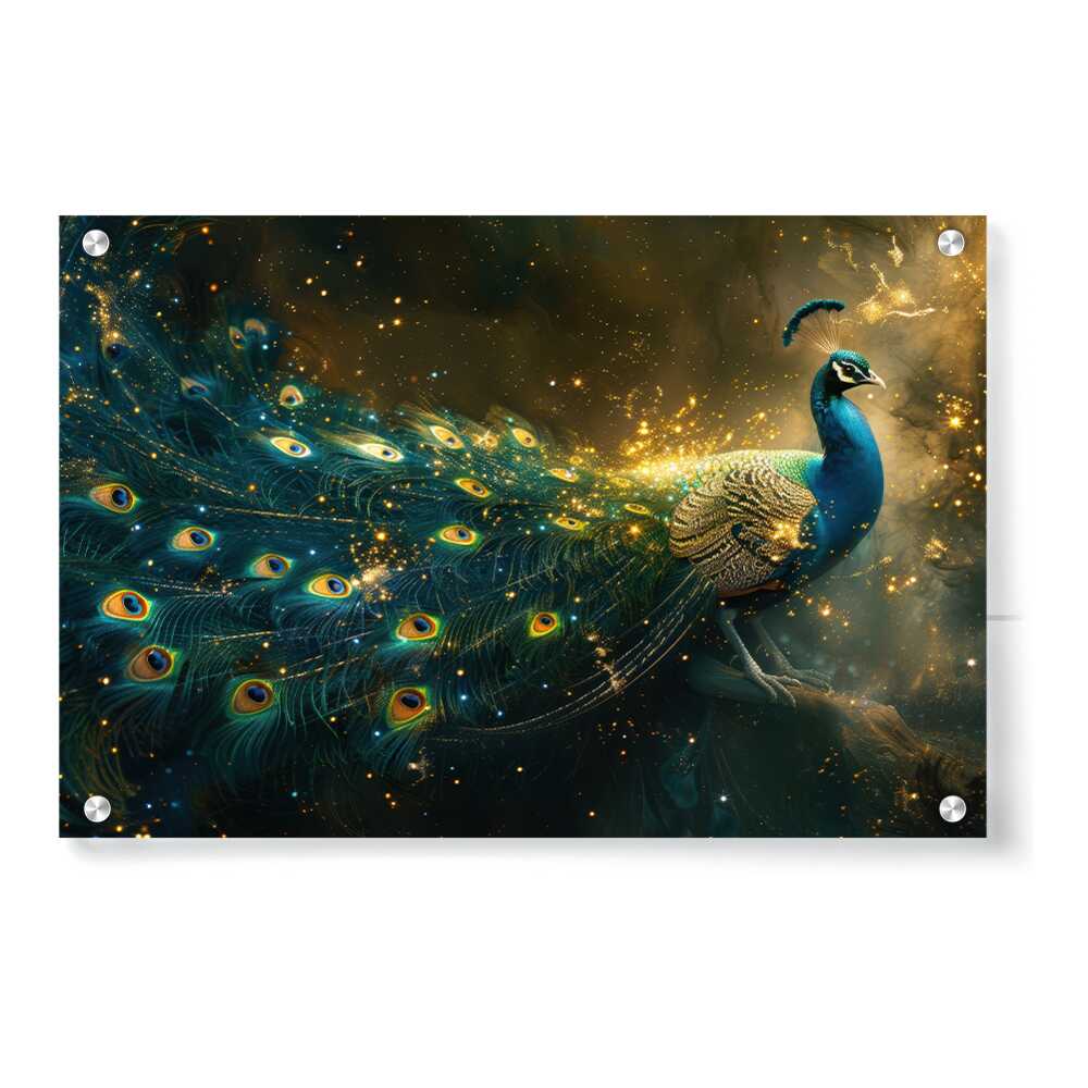 Artist5 - Art - Attractive Peacock - Acrylic Wall Photo