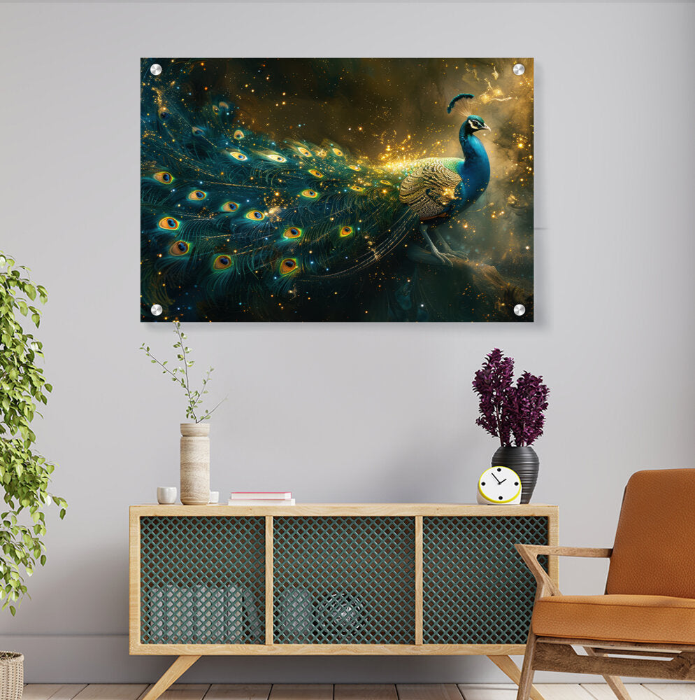 Attractive Peacock - Acrylic Wall Photo