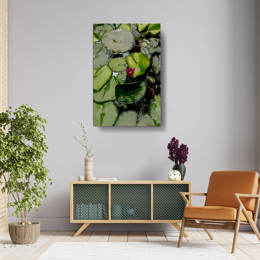 A Pink Flower Is In The Middle