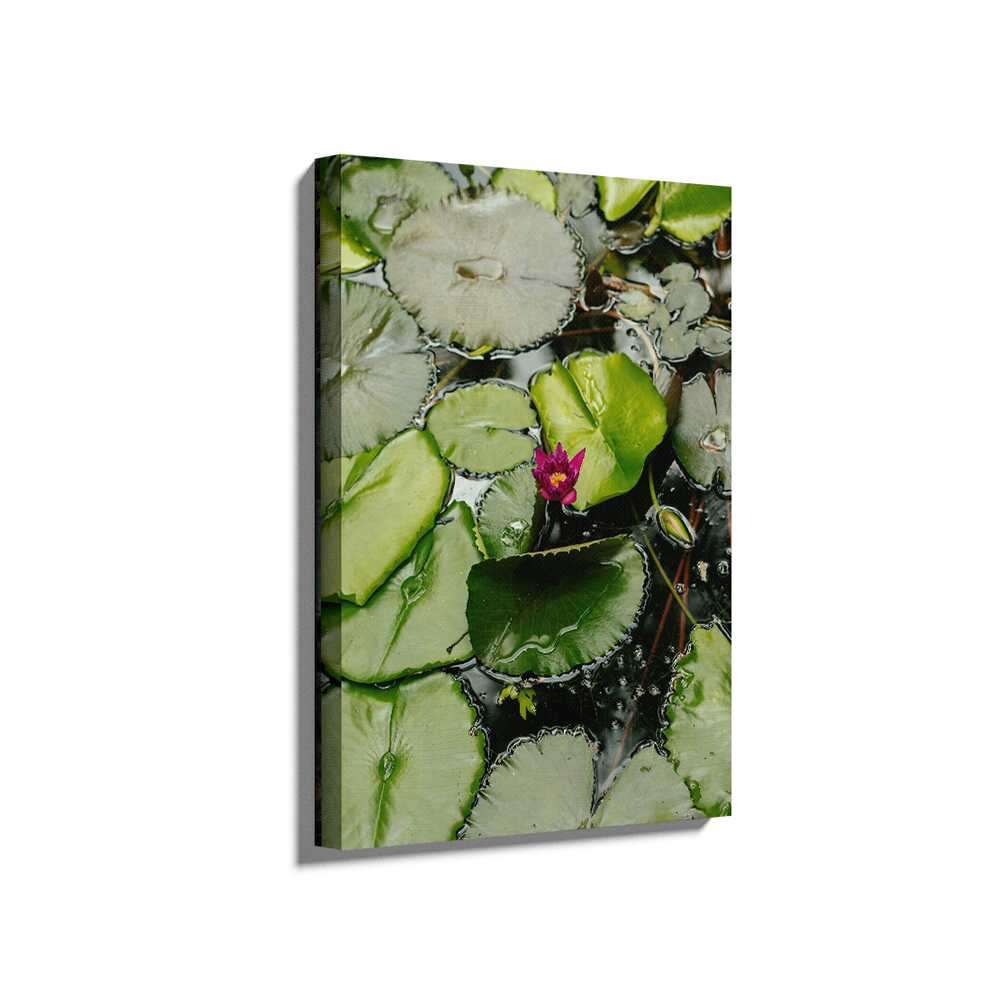 Picasoul - Picasoul Curated - A Pink Flower Is In The Middle - Wall Decor