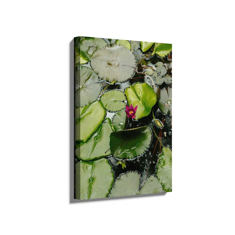 Picasoul - Picasoul Curated - A Pink Flower Is In The Middle - Wall Decor