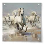 Artist5 - Art - Horses On Beach - Acrylic Wall Photo