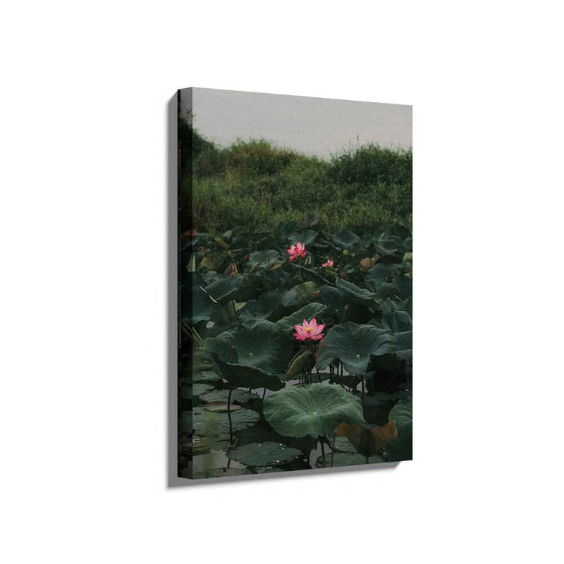 Picasoul - Picasoul Curated - Lilies In A Pond - Wall Decor