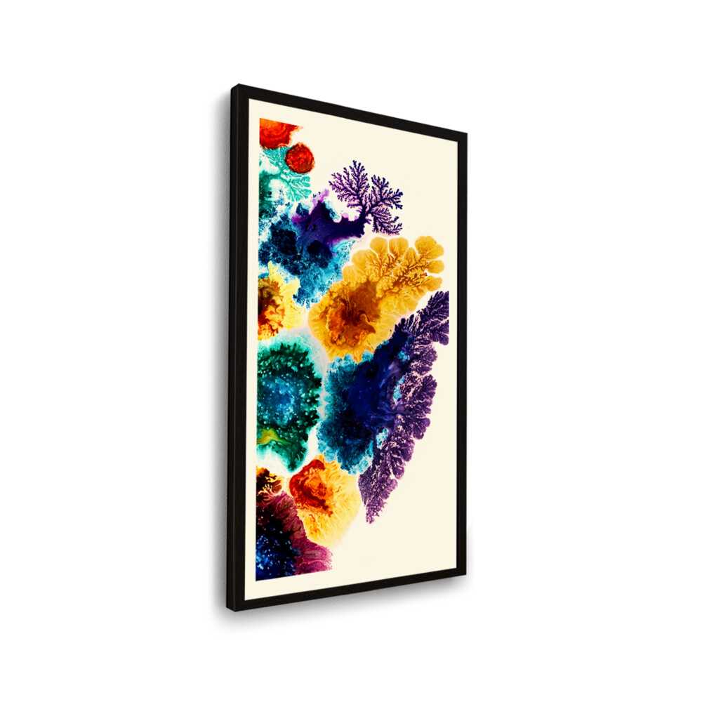 Spectrum Of Colors - WALL MOUNT FRAME