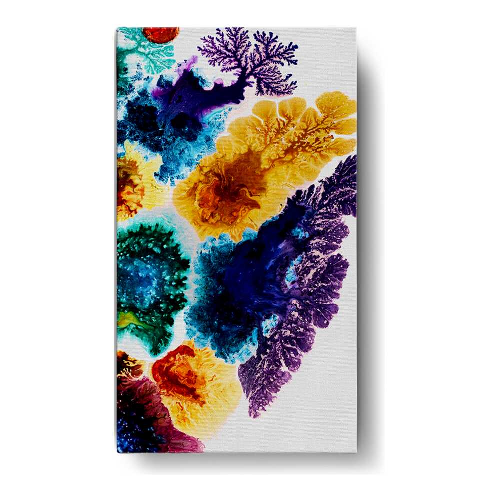 Spectrum Of Colors - Wall Canvas