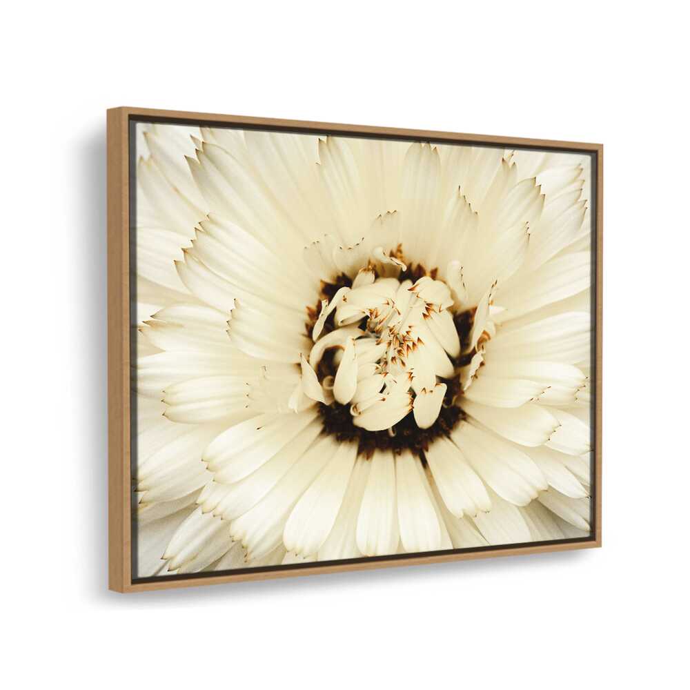White Flower With Brown Spots - FLOATING FRAME