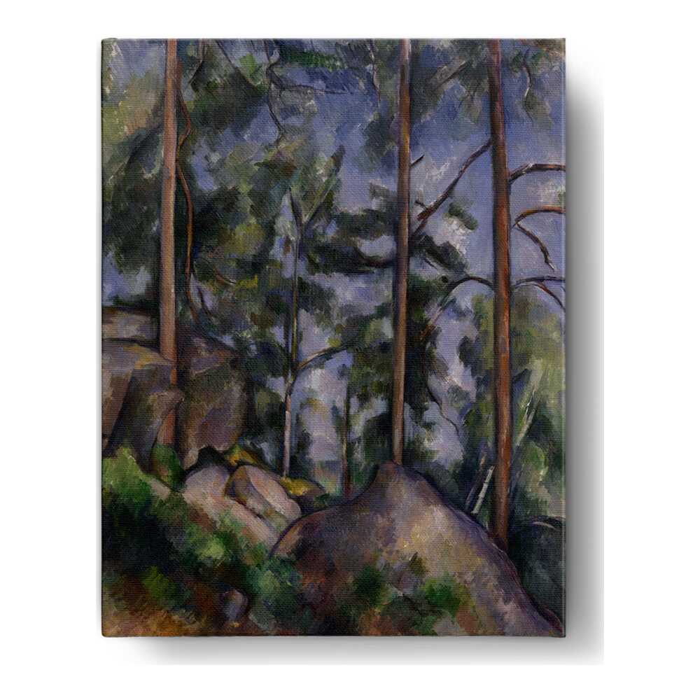 Pines And Rocks - Wall Canvas