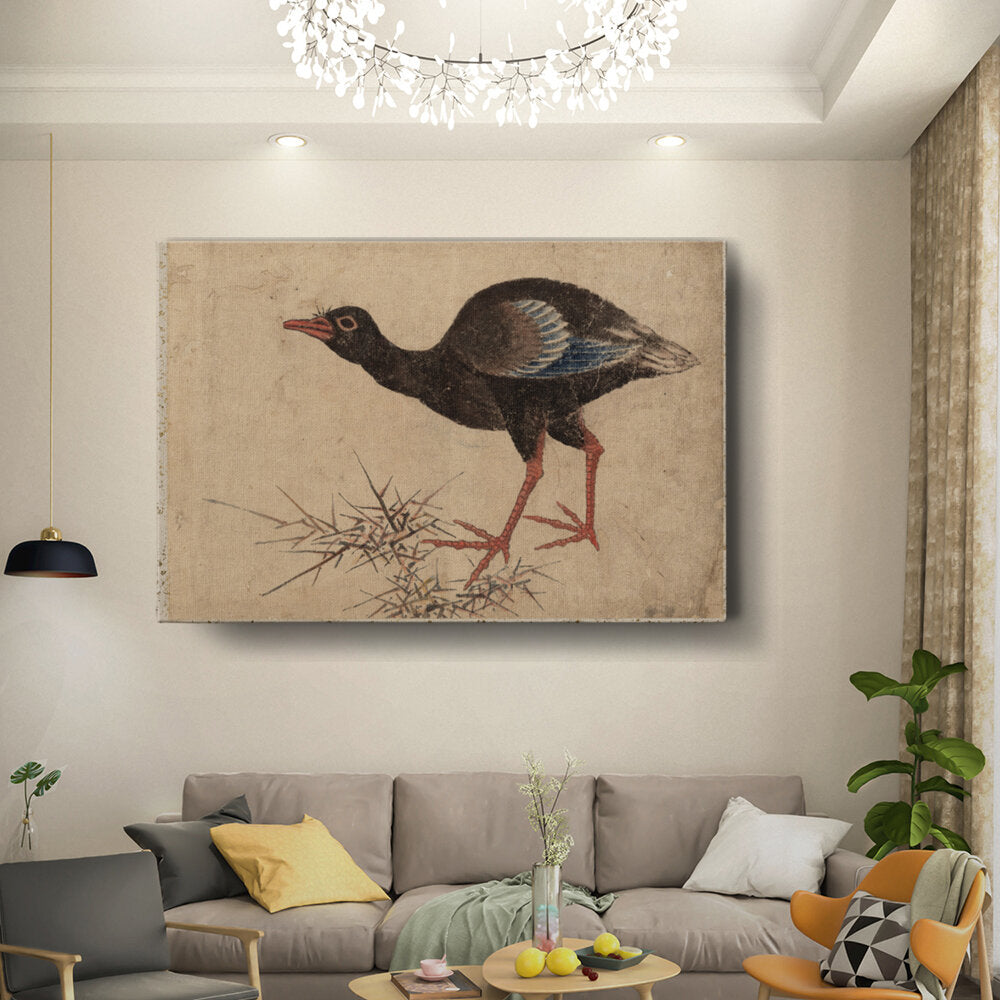 Bird In The Grass