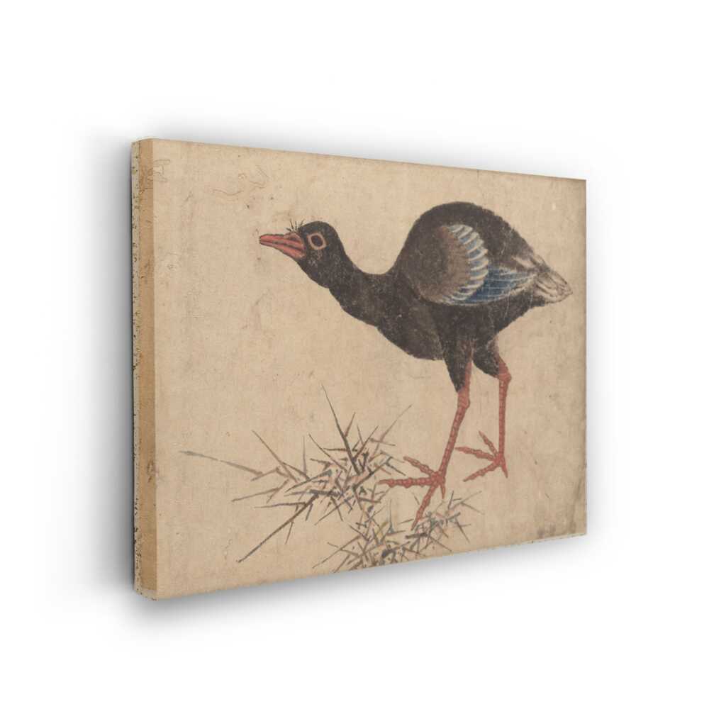 Picasoul - Picasoul Curated - Bird In The Grass - Wall Decor