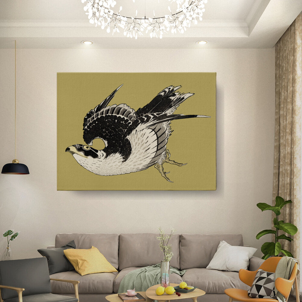 Elegant Falcon