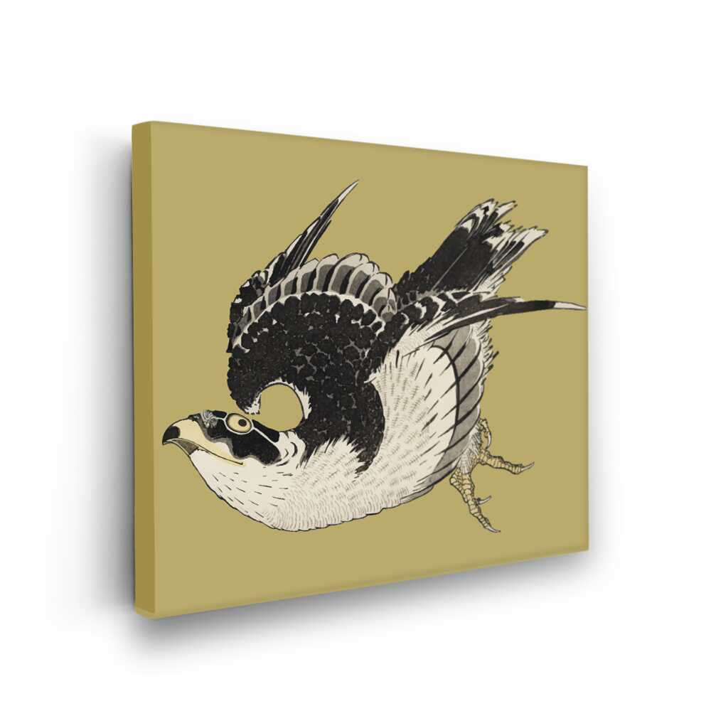 Picasoul - Picasoul Curated - Elegant Falcon - Wall Decor