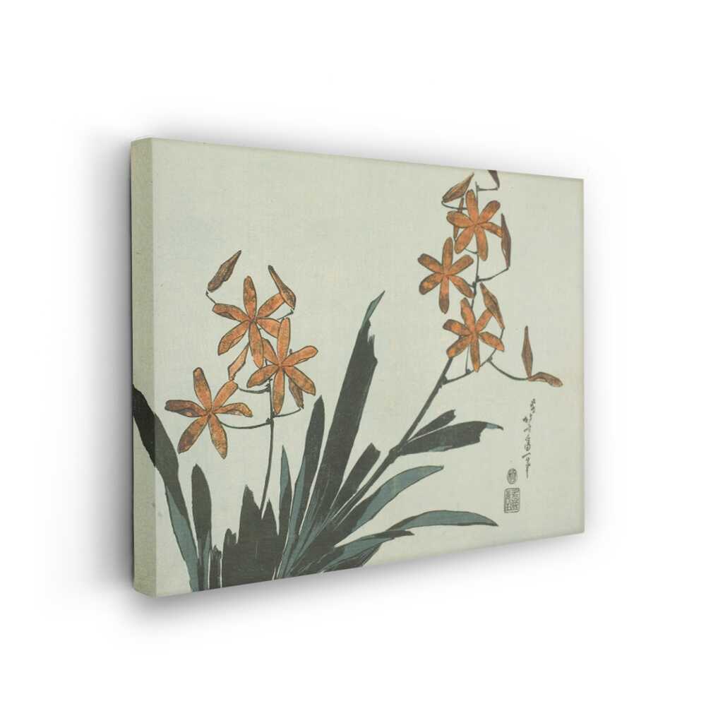 Picasoul - Picasoul Curated - Elegance Of Orchids - Wall Decor