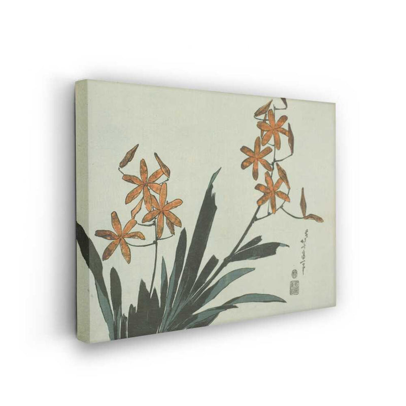 Picasoul - Picasoul Curated - Elegance Of Orchids - Wall Decor