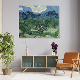 Olive Trees - Acrylic Wall Photo