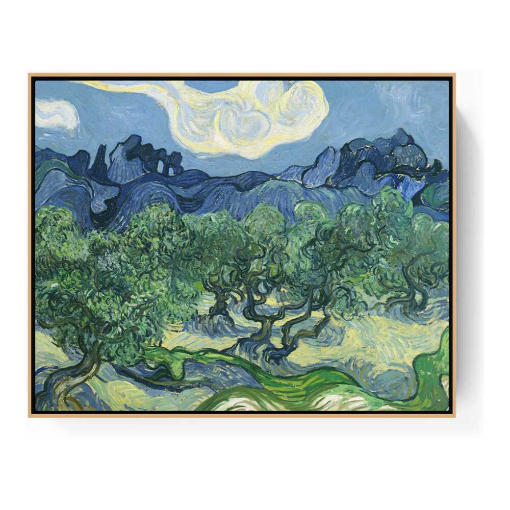 Olive Trees - FLOATING FRAME