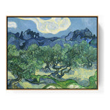 Olive Trees - FLOATING FRAME