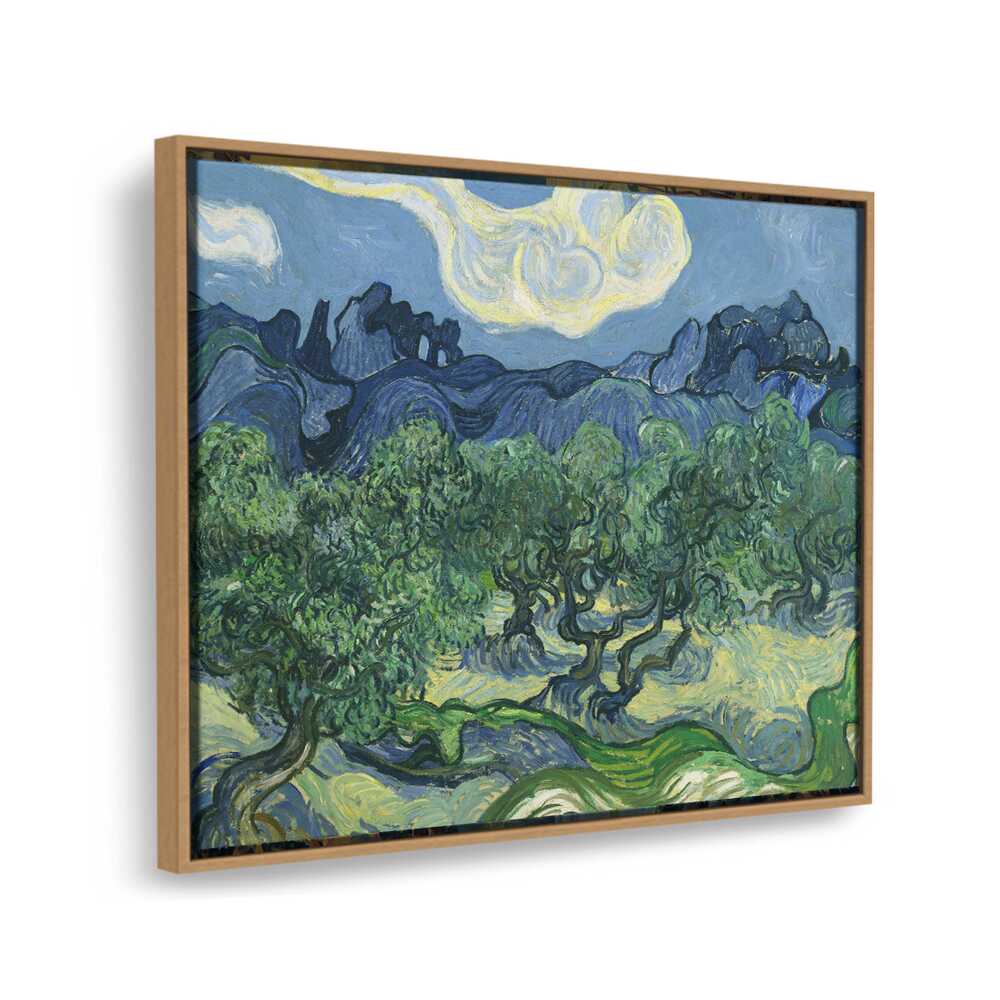 Olive Trees - FLOATING FRAME