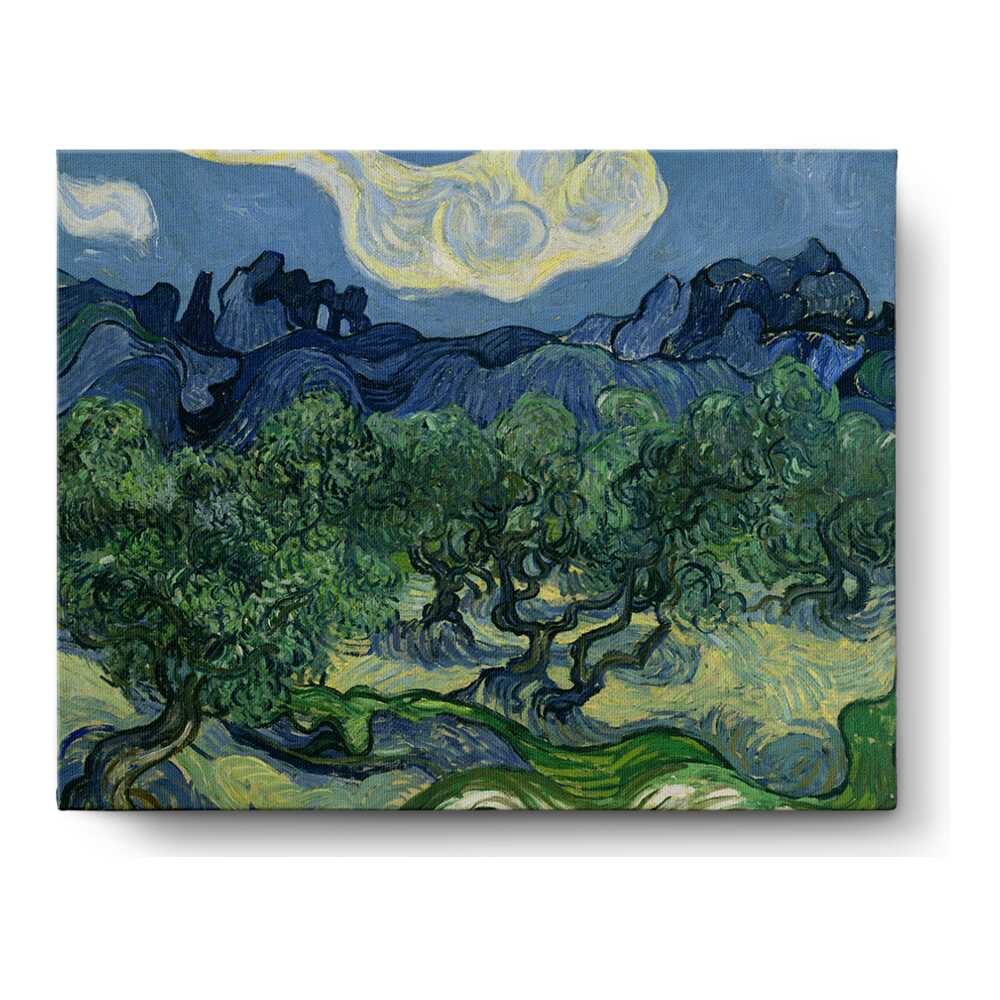 Olive Trees - Wall Canvas