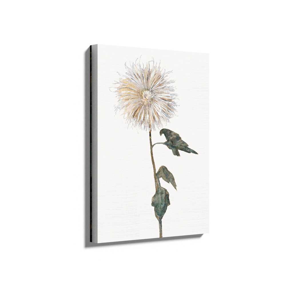 Picasoul - Picasoul Curated - Elegant Floral Study - Wall Decor