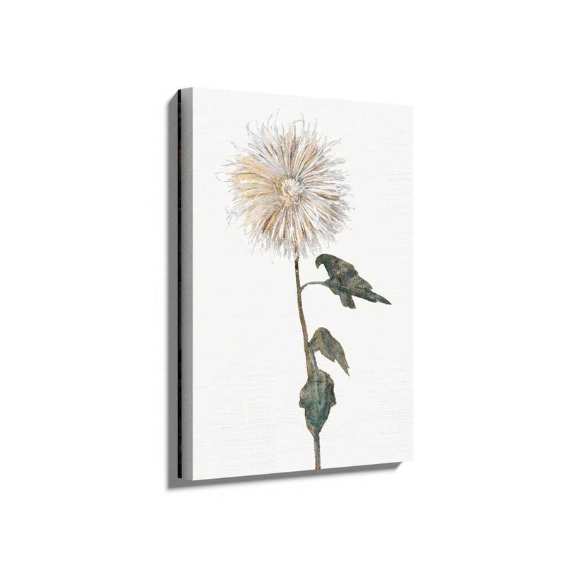 Picasoul - Picasoul Curated - Elegant Floral Study - Wall Decor