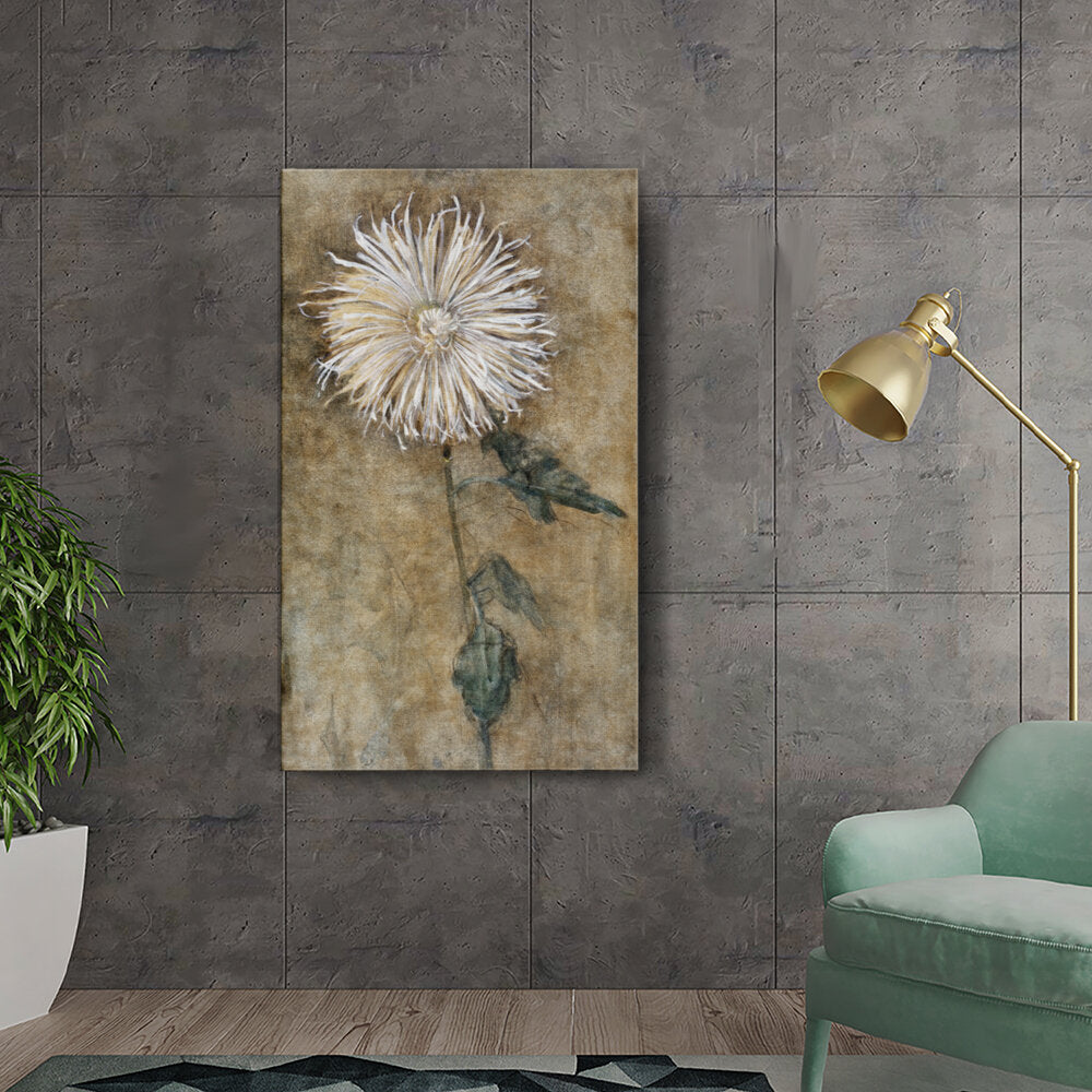 Chrysanthemum Blossom