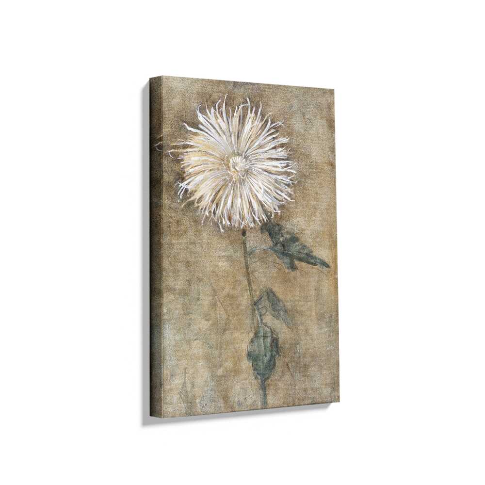 Picasoul - Picasoul Curated - Chrysanthemum Blossom - Wall Decor