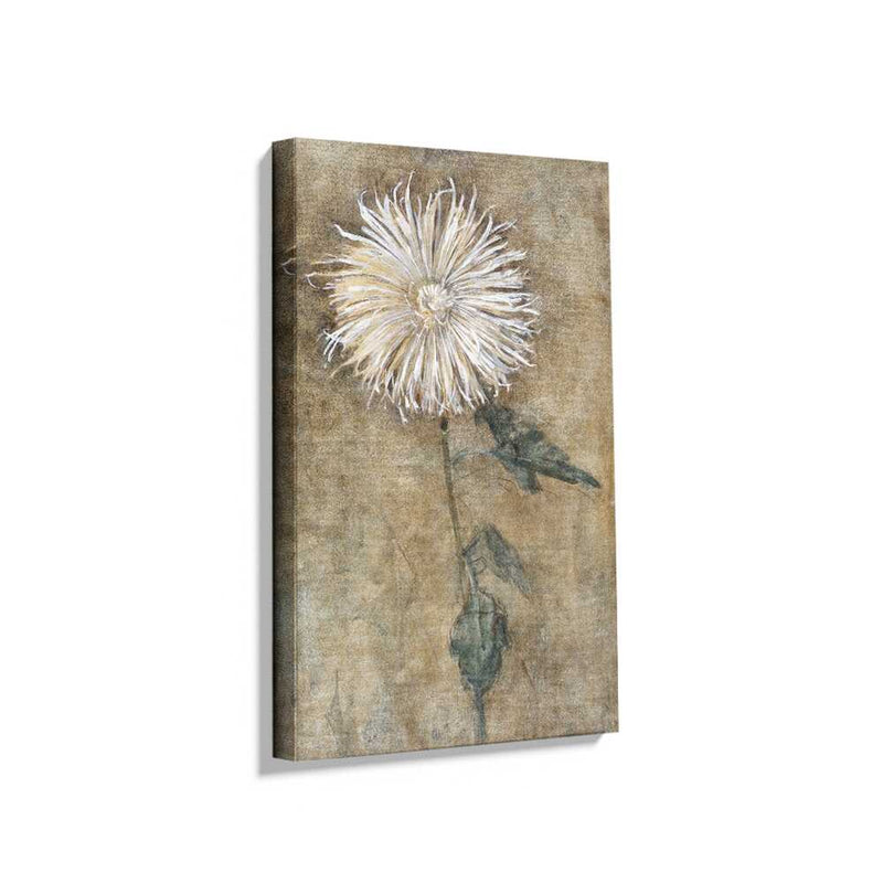 Picasoul - Picasoul Curated - Chrysanthemum Blossom - Wall Decor