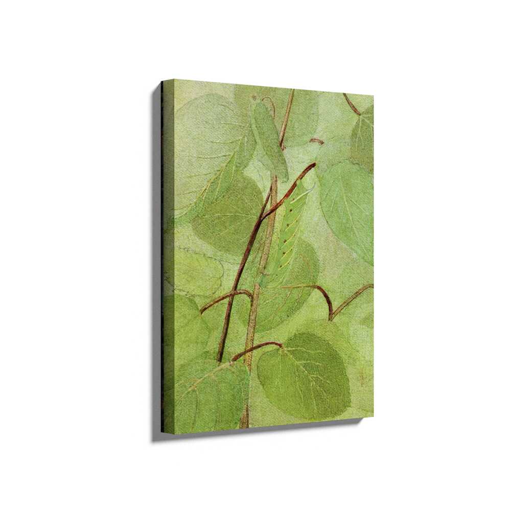Picasoul - Picasoul Curated - Leafy Embrace - Wall Decor