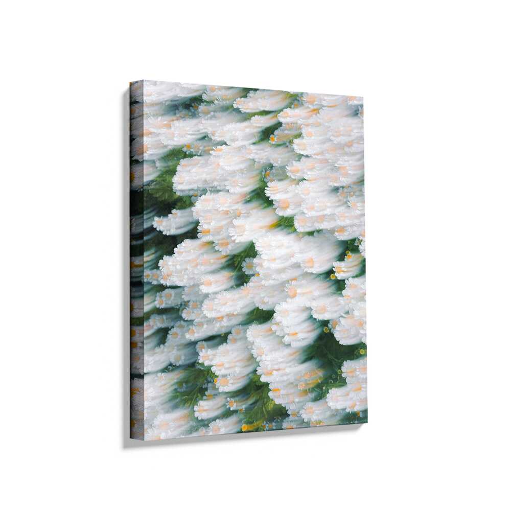 Picasoul - Picasoul Curated - Dreamy Daisy Field - Wall Decor