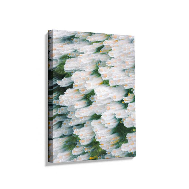 Picasoul - Picasoul Curated - Dreamy Daisy Field - Wall Decor