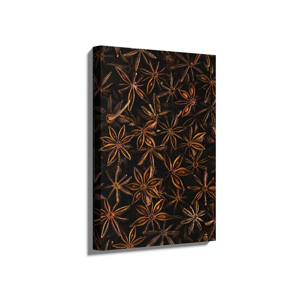 Picasoul - Picasoul Curated - Star Anise Aesthetic - Wall Decor