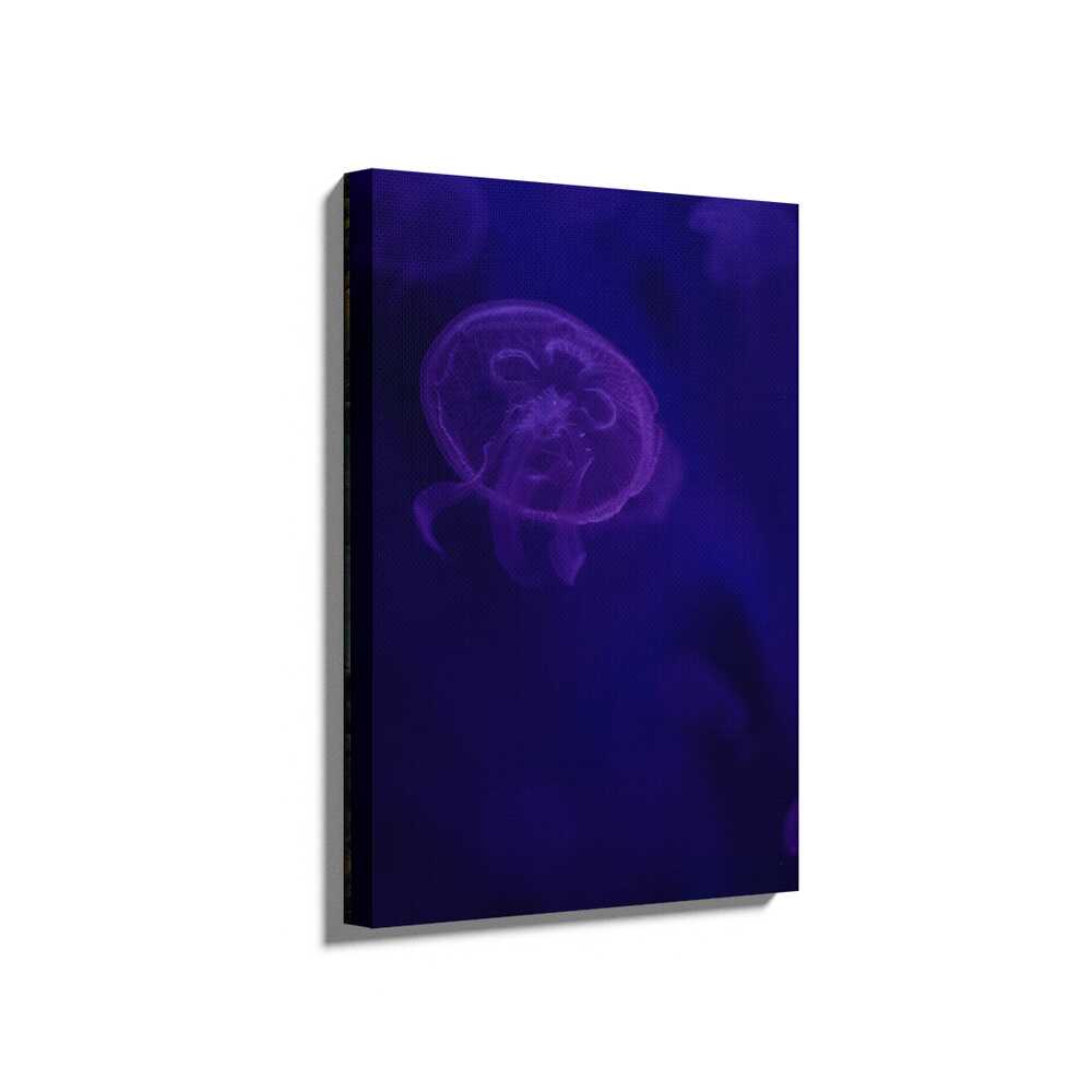 Picasoul - Picasoul Curated - Mystical Jellyfish Dance - Wall Decor